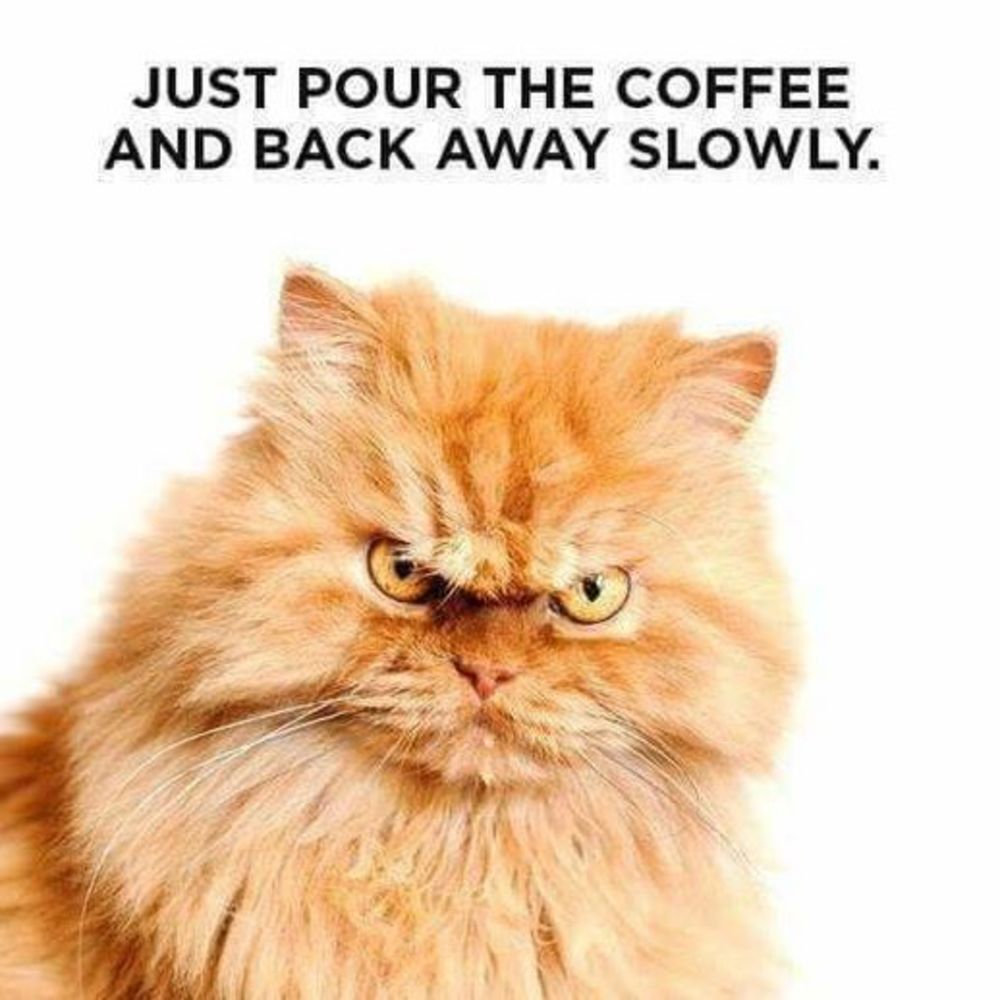 Meet your Posher, Jodi